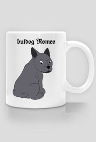 buldog Romeo