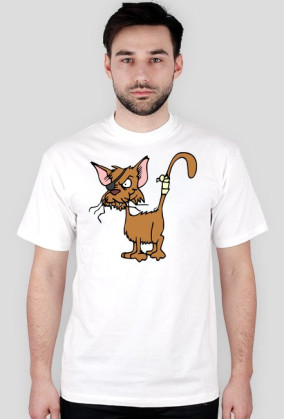 CAT-color