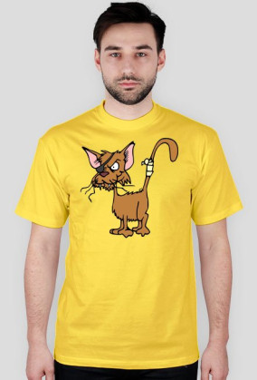 CAT-color
