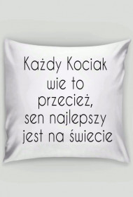 Kicia na sen