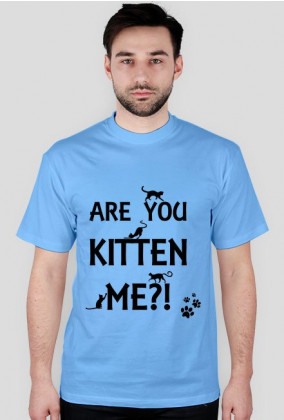 Are you kitten me?!