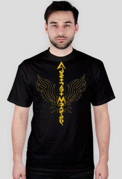 Wings (TSY)