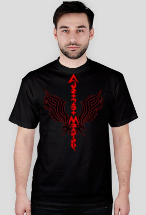 Wings (TSR)