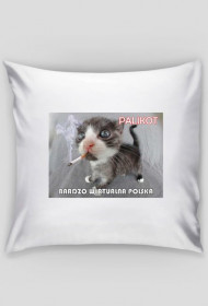 Poduszka Pali Kot