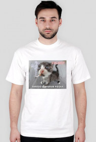 Koszulka Męska Pali Kot