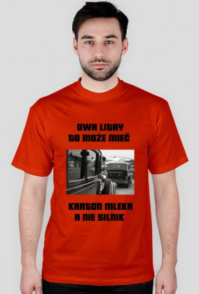 Silnik 2 litry