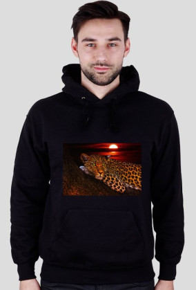 LEOPART