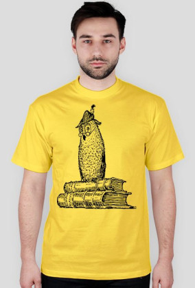 Sowa na książkach - różne kolory