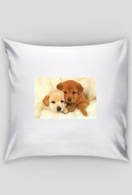 poduszka z pieskami