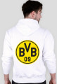 Borussia Fan