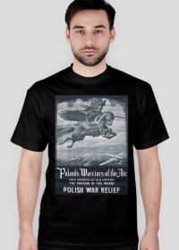 Polish Warriors of the Sky