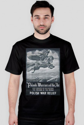 Polish Warriors of the Sky
