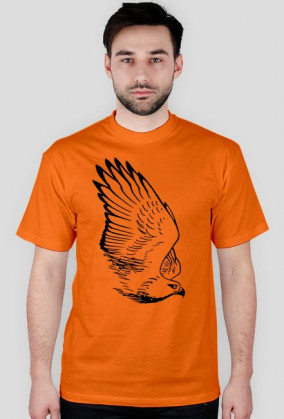 Jastrząb, rysunek - T-shirt