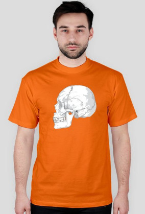 SkullWhite