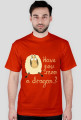 How To Train Your Dragon 1