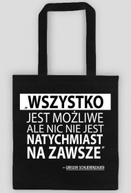 SCHLIERENZAUER bag