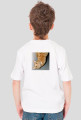 Kocie trolle