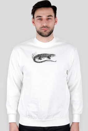 Bluza