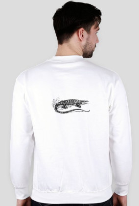 Bluza