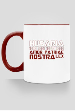 Husaria V 2K