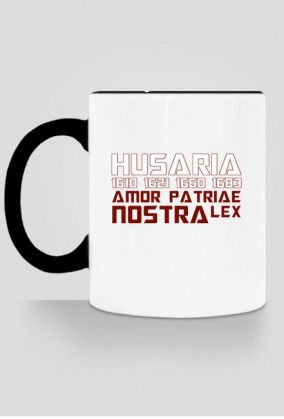Husaria V 2K