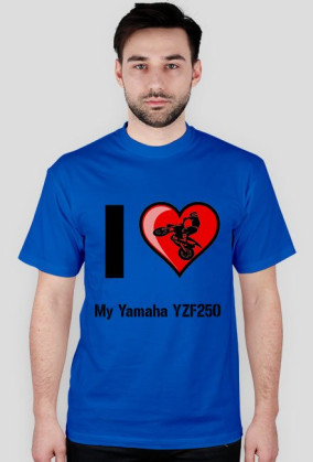 I love Yamaha YZF250