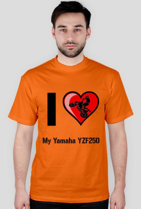 I love Yamaha YZF250