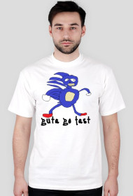(Sanic MEME) guta go fast