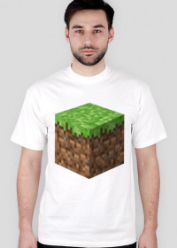 Minecraft Klocek
