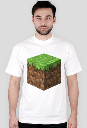 Minecraft Klocek