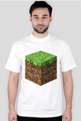 Minecraft Klocek