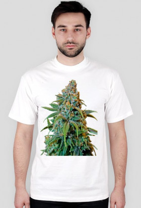 Koszulka Haze Rademan