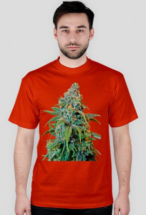 Koszulka Haze Rademan