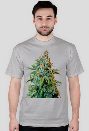 Koszulka Haze Rademan