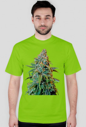 Koszulka Haze Rademan