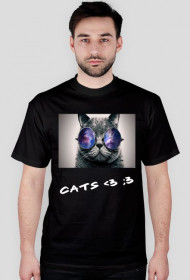 Cats 1 :D
