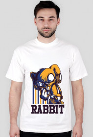 RABBIT V1