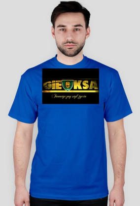 Koszulka GKS Katowice