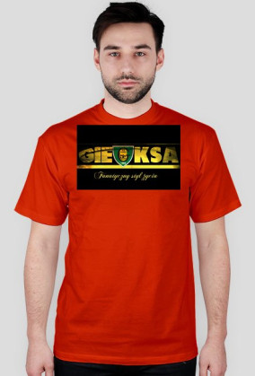 Koszulka GKS Katowice