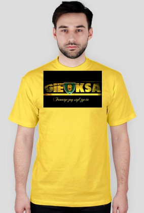 Koszulka GKS Katowice