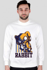 RABBIT V1