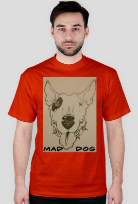 BullTerrier