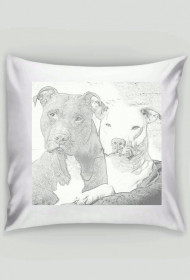 Poduszka PitBull