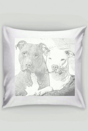 Poduszka PitBull