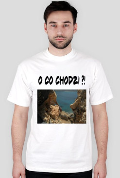 O CO CHODZI ?! WHITE