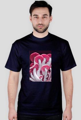 Shrooms
