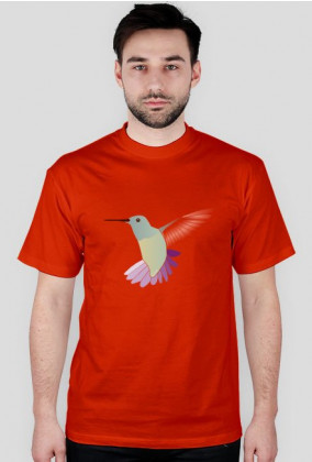 Koliber t-shirt męski