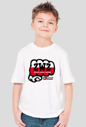 Koszulka dla chłopca - Zasady. Pada