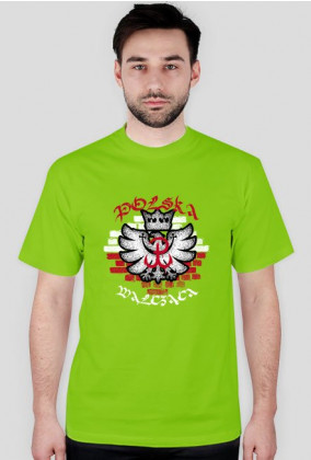 Koszulka męska - Polska Walcząca. Pada