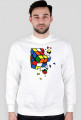 RUBIK CRASH